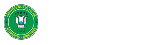 Institut Nurul Islam